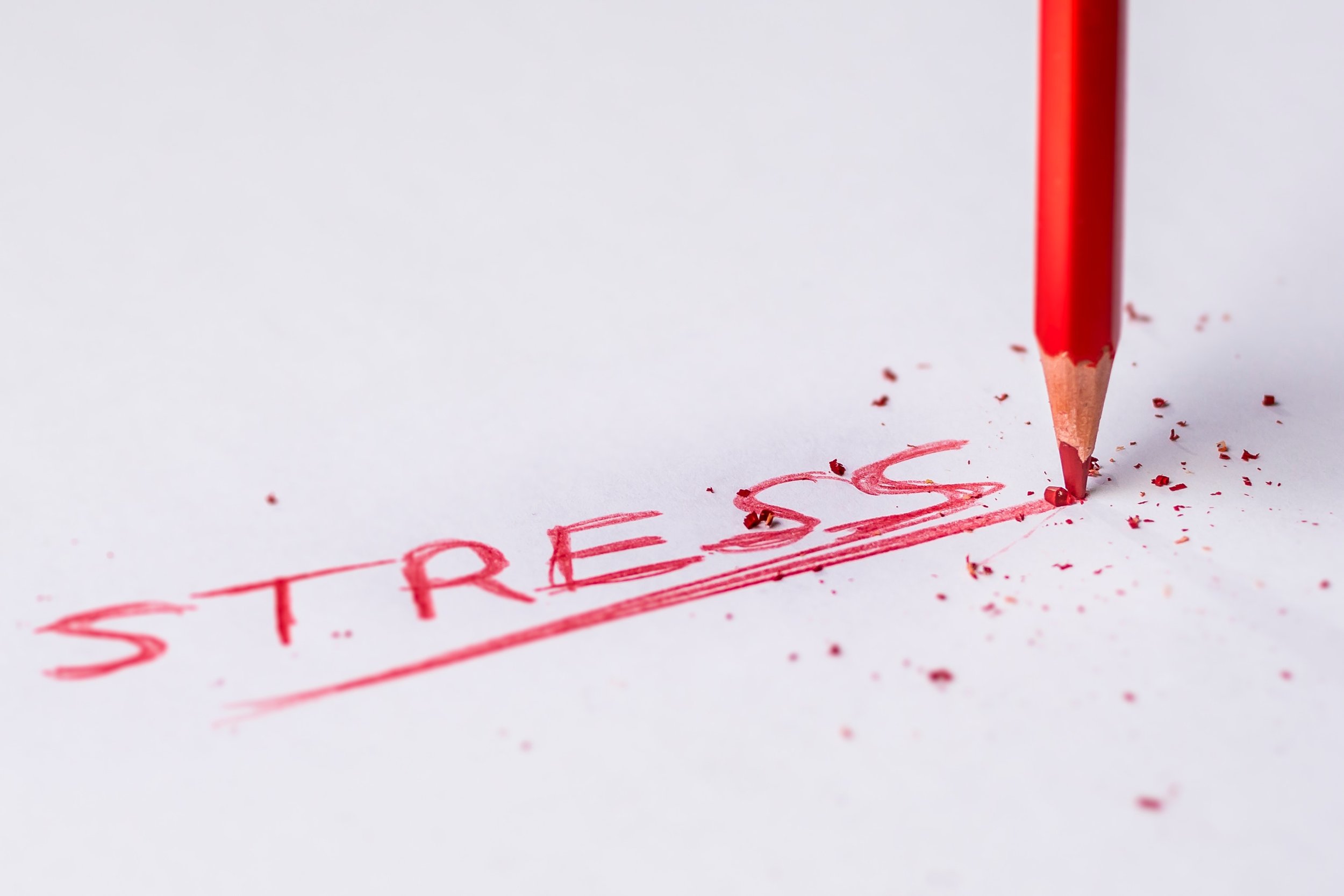  Stress Management – A Personal Story by Project Manager Rob Rinaldo at March 