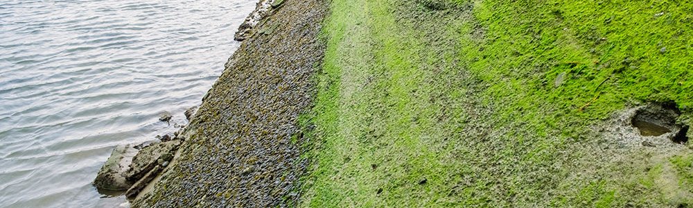 sistainable-contractors-concrete